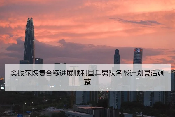 樊振东恢复合练进展顺利国乒男队备战计划灵活调整
